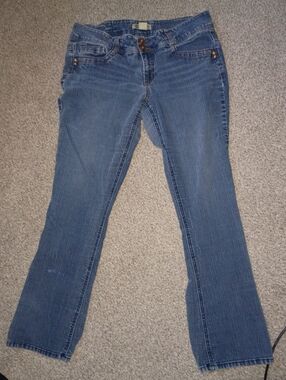 Democracy's Classic Women's Blue Jeans - Casual Stretch Denim